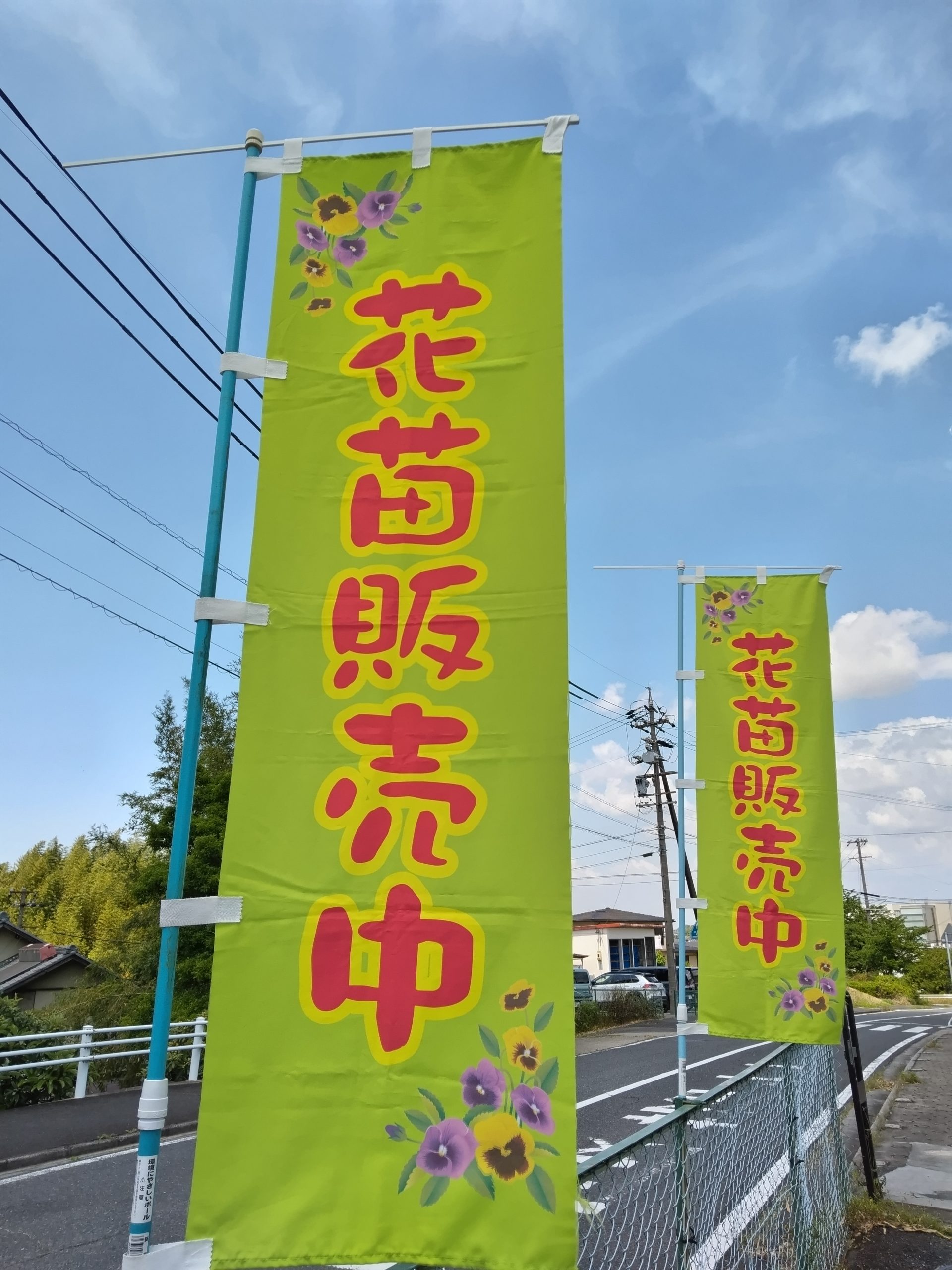 花苗販売が始まりました！