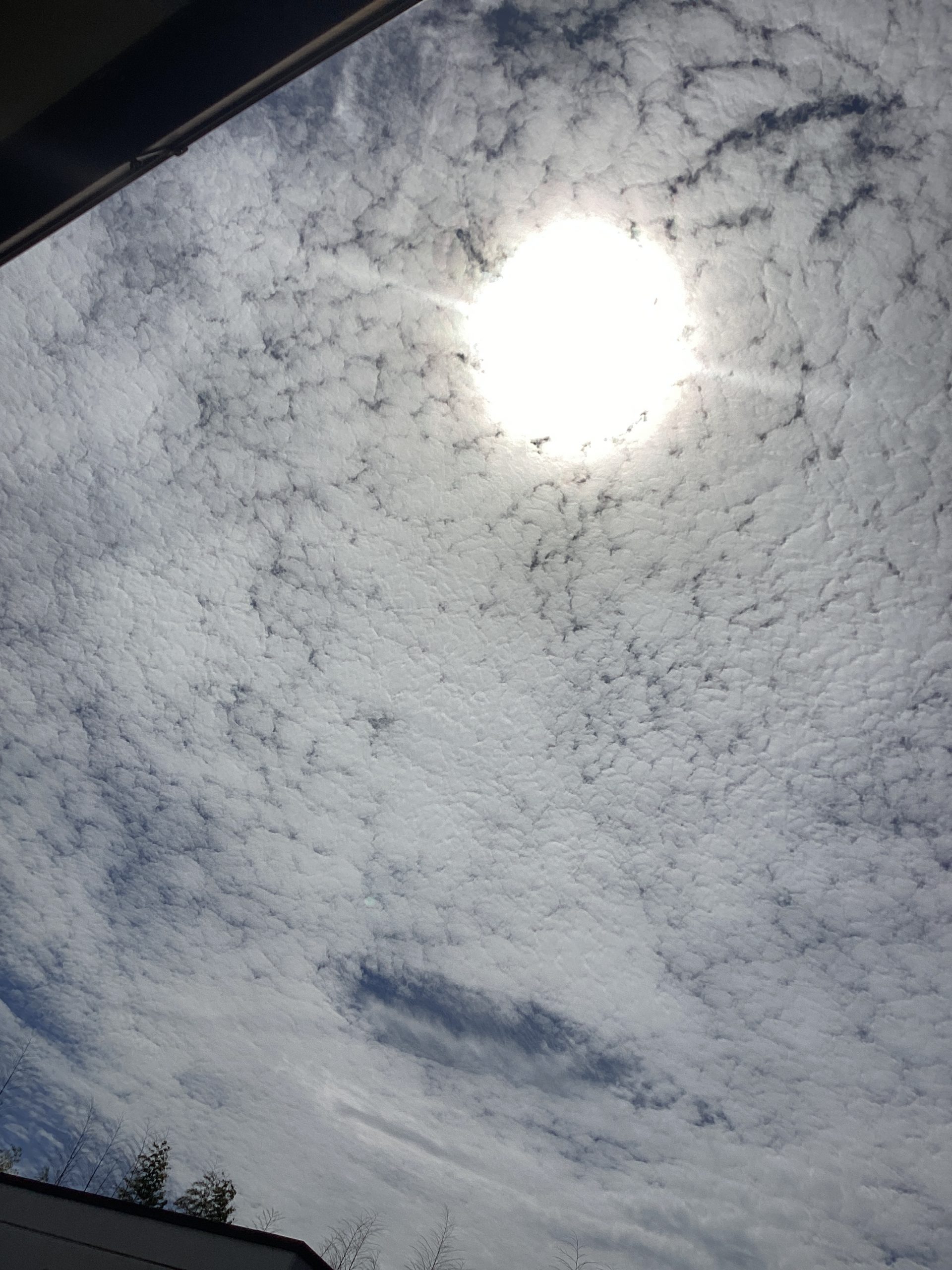 熱中症に気をつけましょう